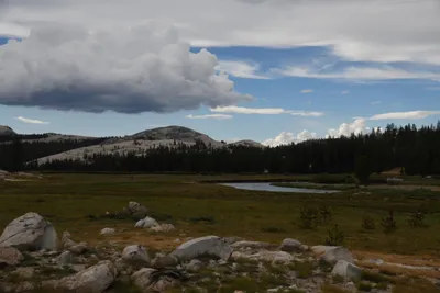 DSC_4422 (Large).JPG